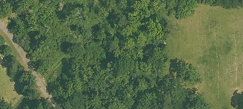 Cleared Corner Home Lot