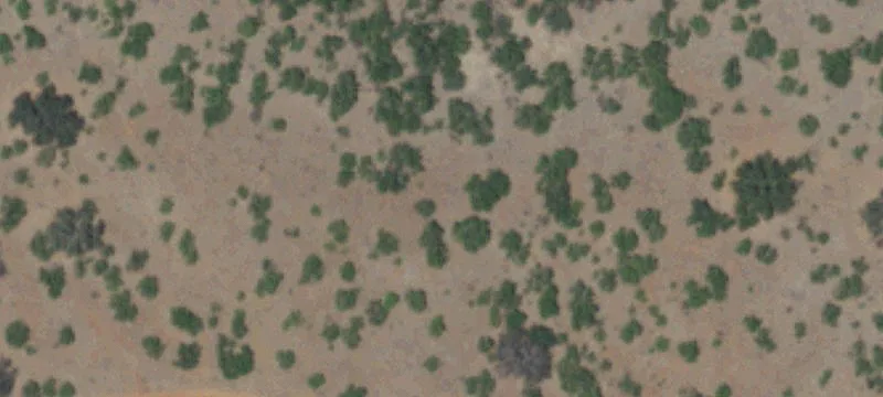 Native Hill Country Hunting Land