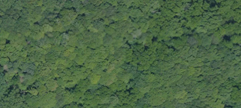 Country Land with Existing House