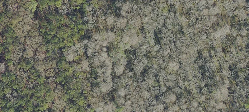 Two-Tract Industrial Land Parcel