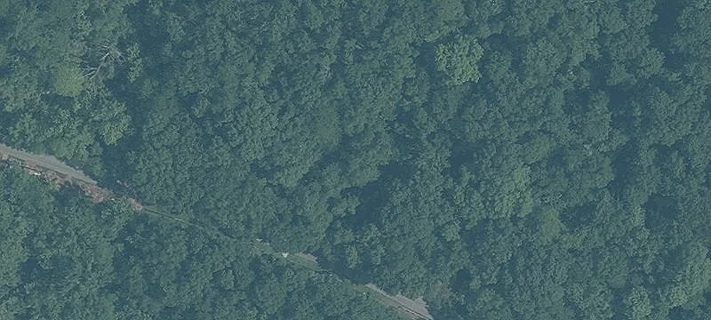 Wooded Residential Land Parcels