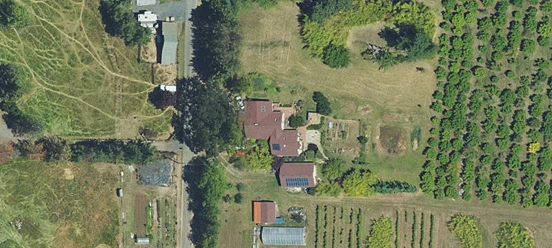 Established Orchard Farmstead