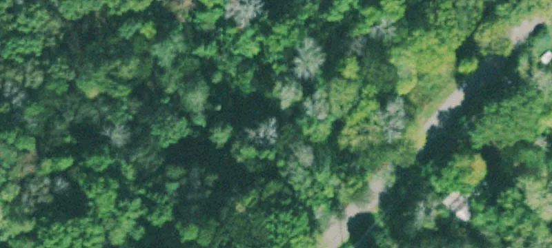 Residential Development Land with Easement