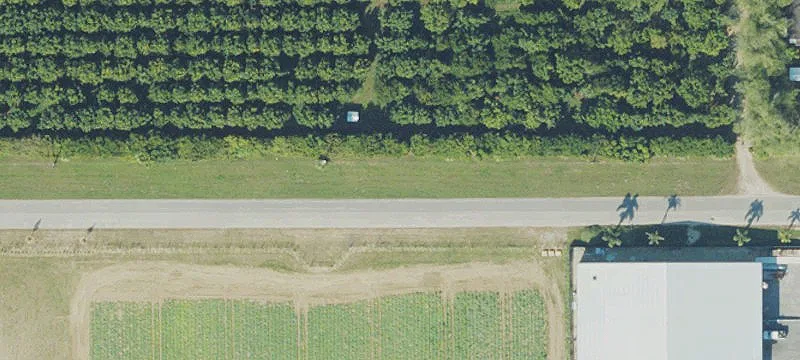 Cleared Corner Farmland Parcel