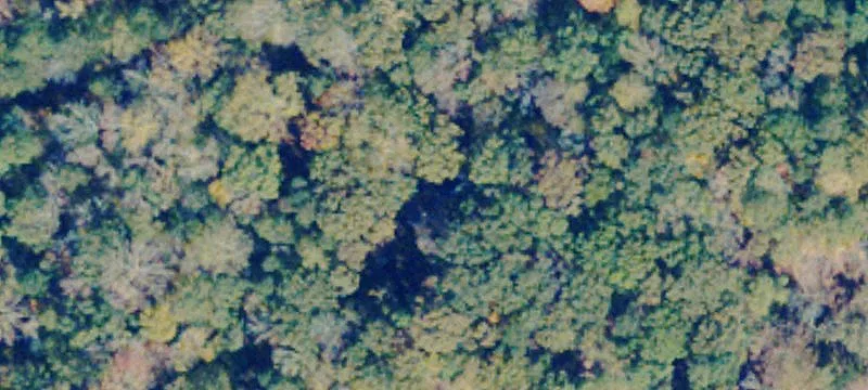 Wooded Waterfront Recreational Land