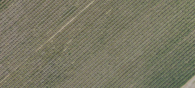 Agricultural Land with Renovated Home