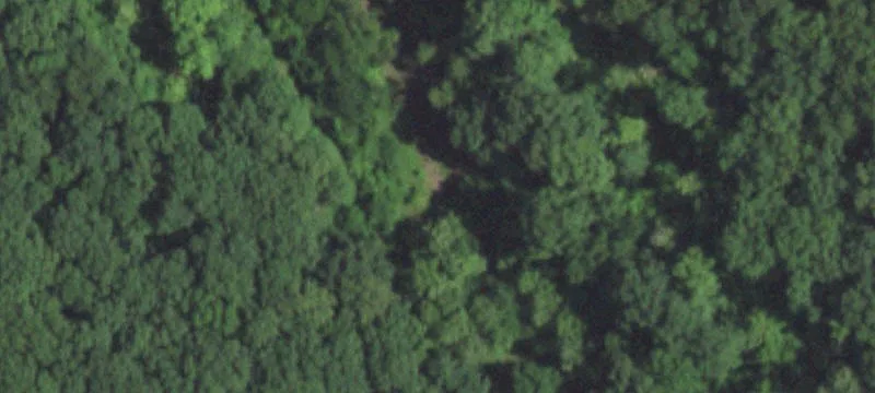 Agricultural Land with Horse Facilities