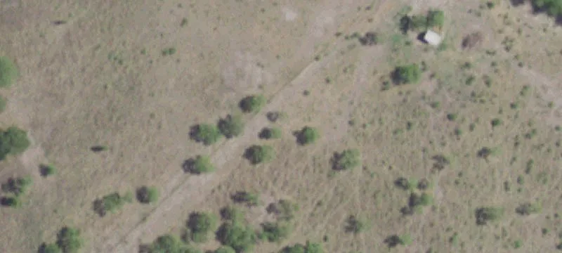 Horse Property with Arena