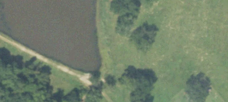 Wooded Commercial Land Tract