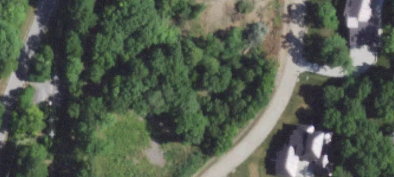 Walkout Home Lot