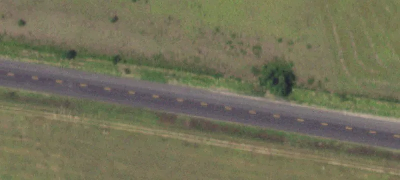 Hunting and Grazing Land