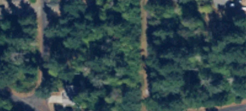 Partially Cleared Residential Lot