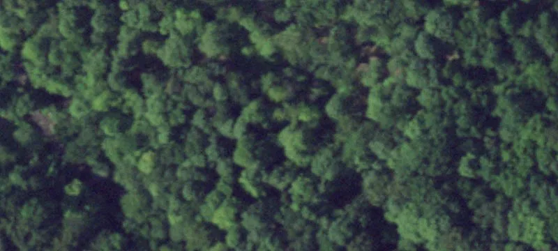 Lodge Resort Property