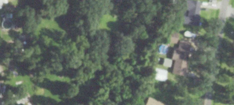 Residential Home Lot with Oaks