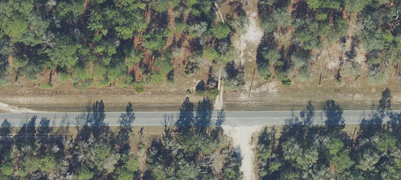 Cleared Agricultural Land Tract