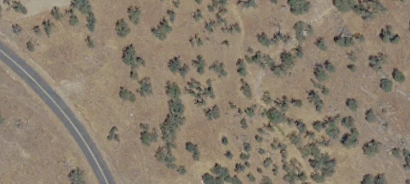 Gently Sloped Recreation Land