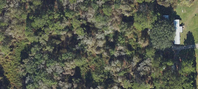 Partially Cleared Land Tract