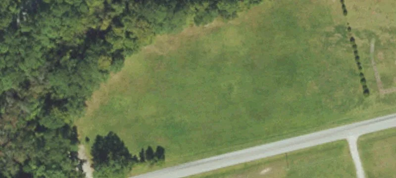 Partially Cleared Waterfront-Adjacent Land