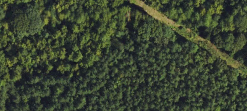 Wooded Residential Lot