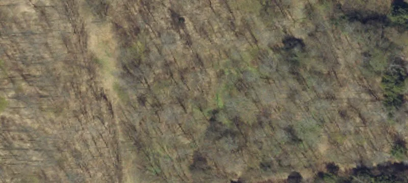 Wooded Recreational Land Lots