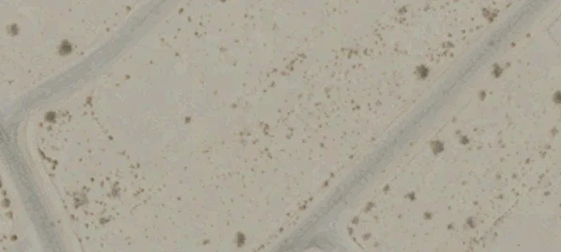 Flat Residential Development Lot