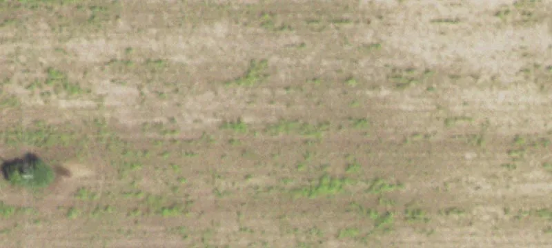 Leased Farmland Tract