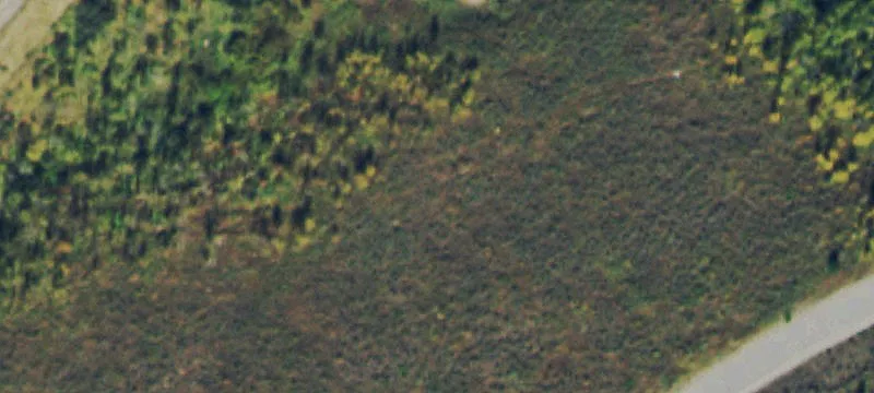 Gently Sloping Mountain Homesite