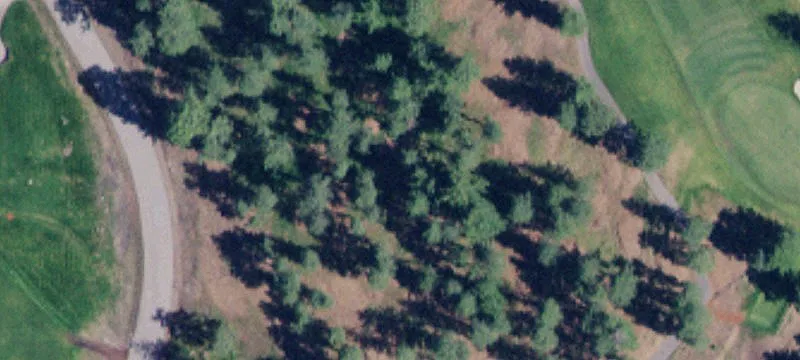 Recreation Land Lot in Homestead
