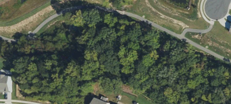 Vacant Development Land Tract