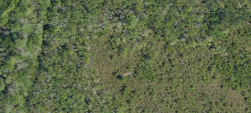 Waterfront Marsh-Front Land Lot