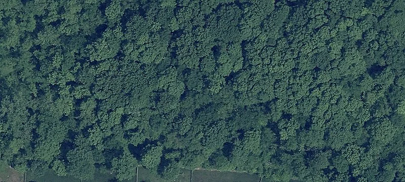 Approved Builder Lot