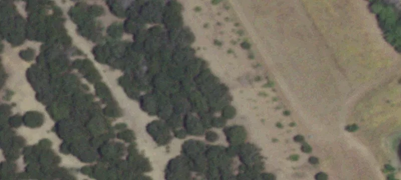 Wooded Hunting Land with Homesite