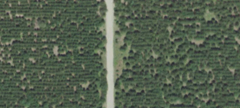 Timber Recreation Land Tract