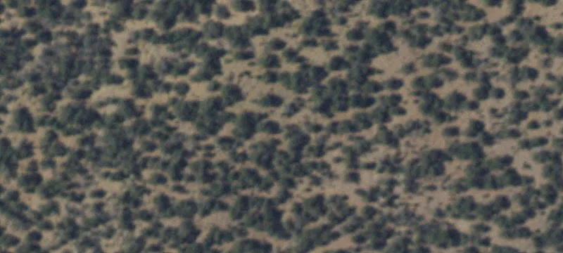 Wooded Recreation Land Parcel
