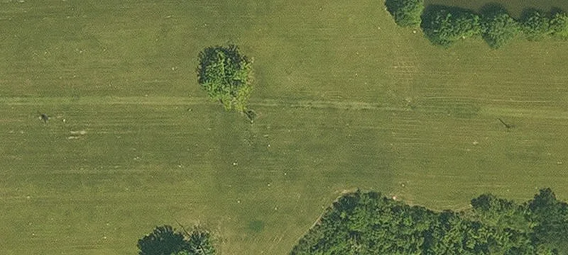 Road-Front Commercial Land Parcel