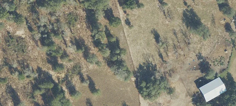 Wooded Residential Homesite Land