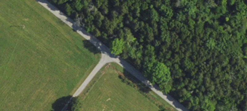 Cleared Agricultural Land Tract