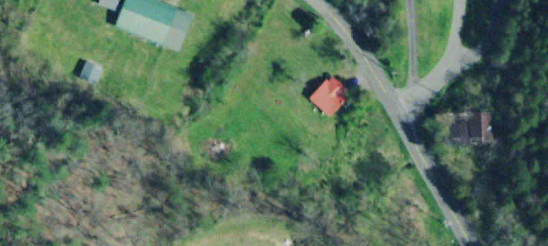 Wooded Mountain Cabin Lot