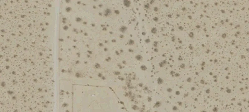 Raw Land Parcel Near Johnson Valley