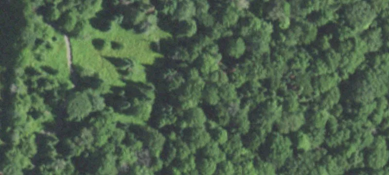 Rural Acreage with Cropland Lease