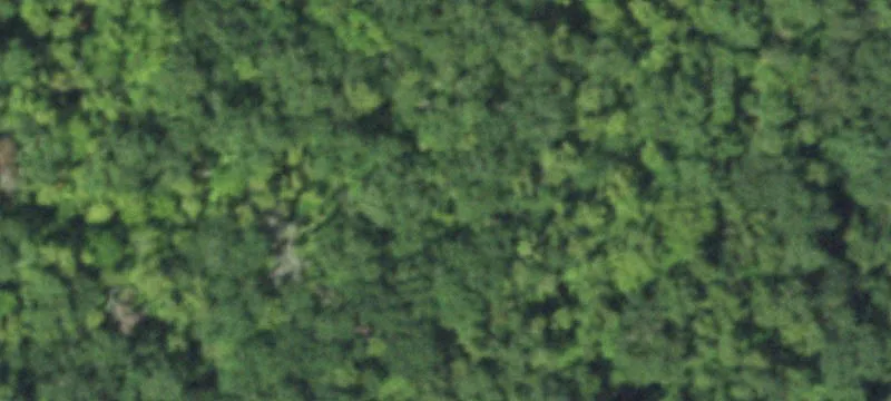 Hunting Land with Home