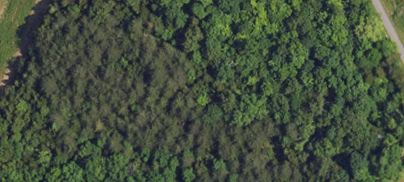 Wooded Hunting Land with Single Wide