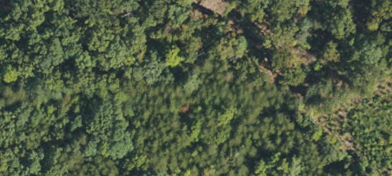 Wooded Residential Homesite