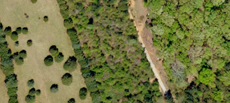Wooded Development Land with Pond