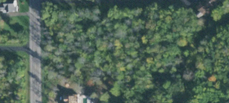 Partially Cleared Building Lot