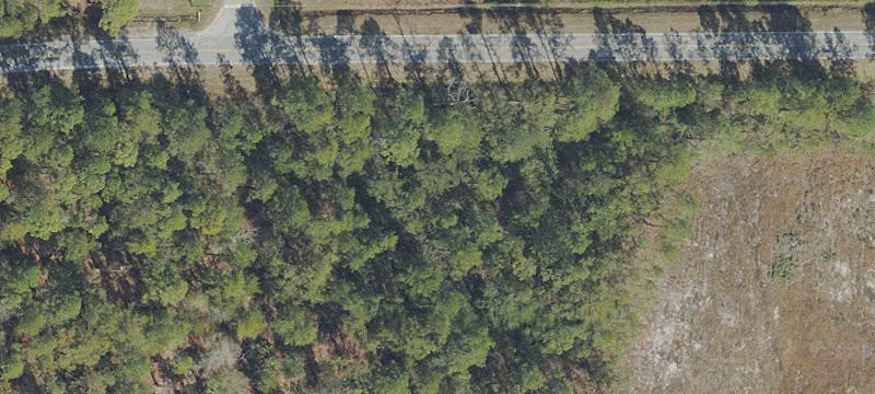 Residential Land Parcel with Three Lots