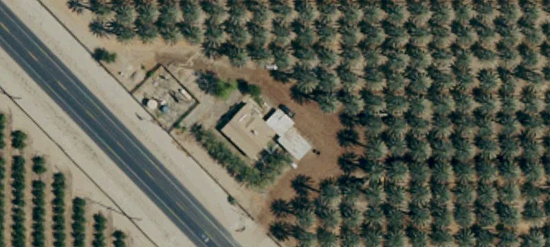 Organic Date Grove Land