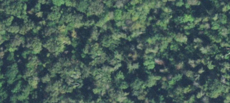 Agricultural Land Parcel