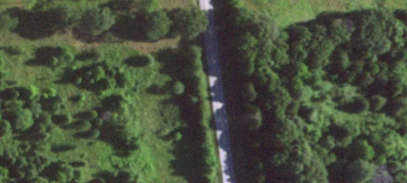 Manicured Cattle and Hunting Ranch