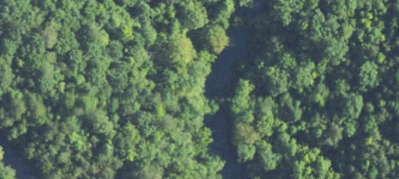 Vacant Land Lot in Subdivision